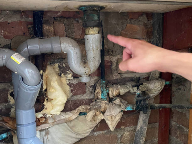 Best Flood restoration services  in Elm City, NC