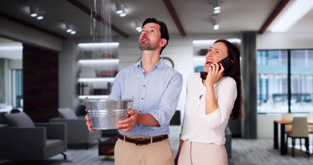 Best Water damage restoration near me  in Elm City, NC