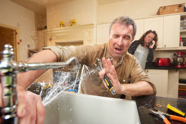 Best Mold removal after water damage  in Elm City, NC